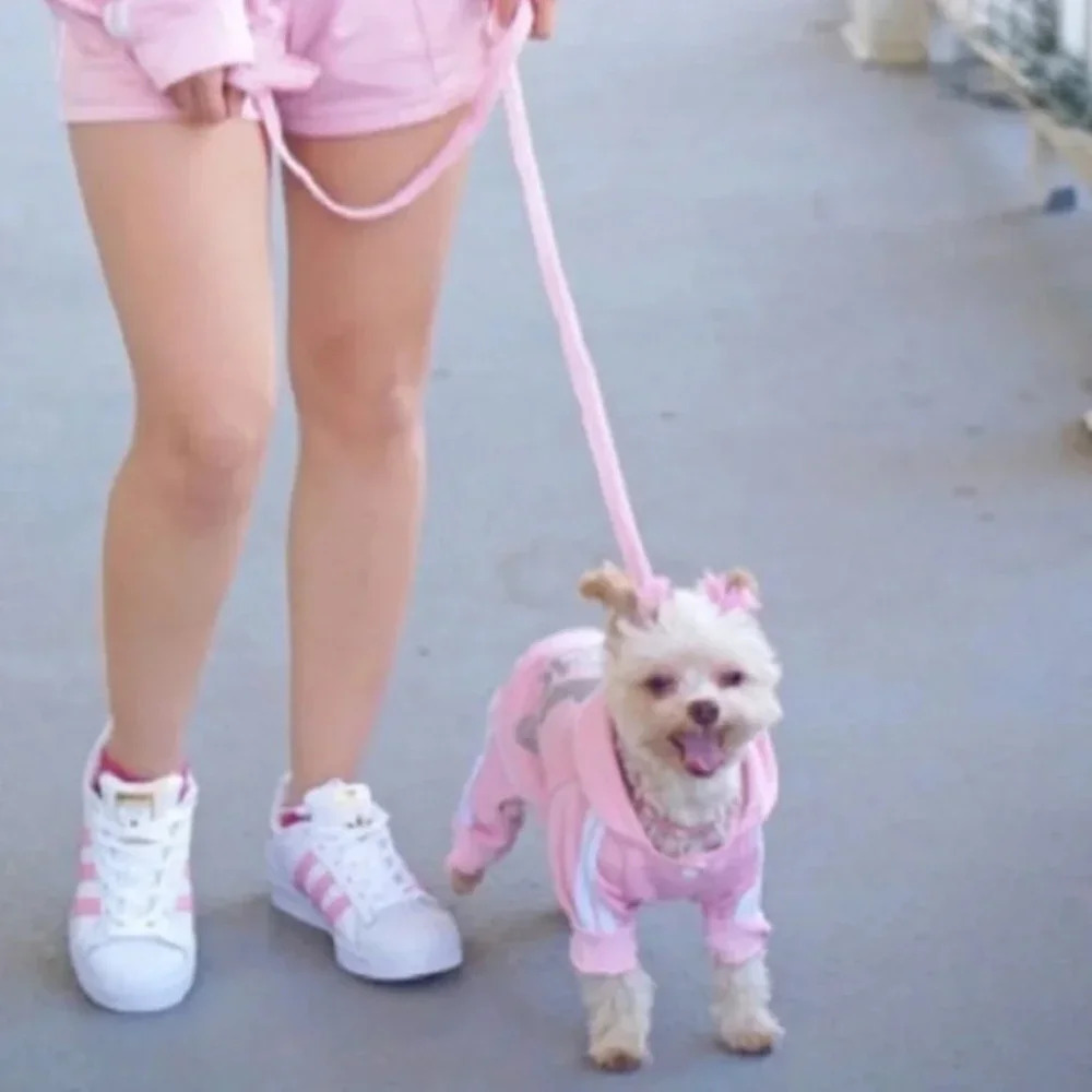 Pink Adidog jumper